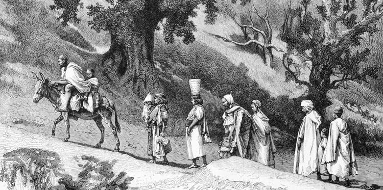 Impact écologique colonial : un passé toxique décrypté