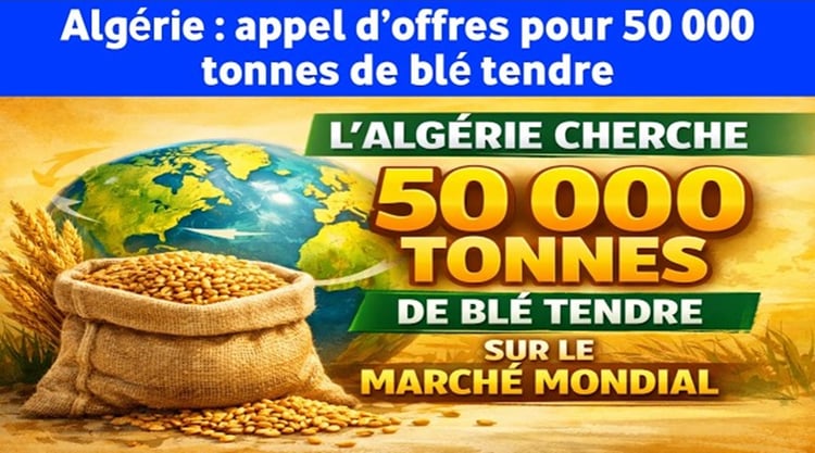 Algérie : Nouvelle quête sur le marché du blé tendre