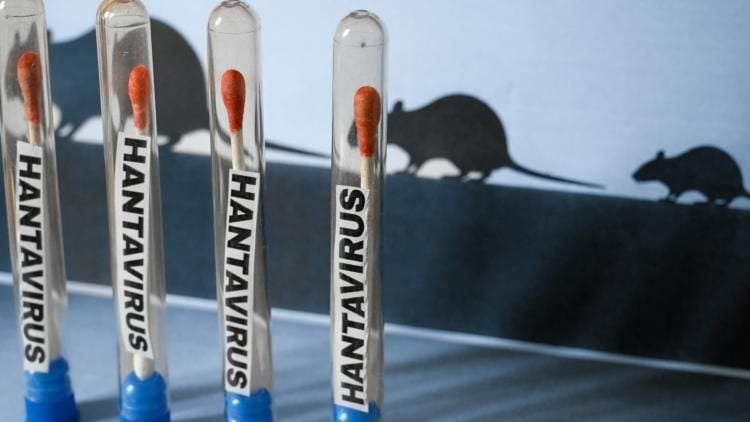 Algérie : ce que prévoit le plan contre l'hantavirus