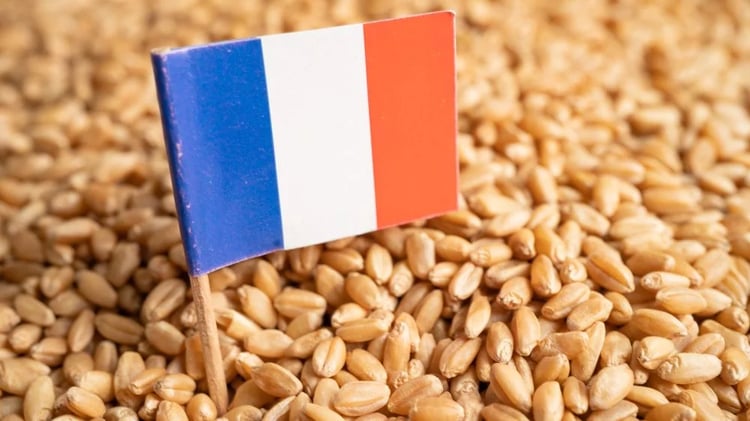 Pourquoi les exportations agro françaises chutent en Algérie