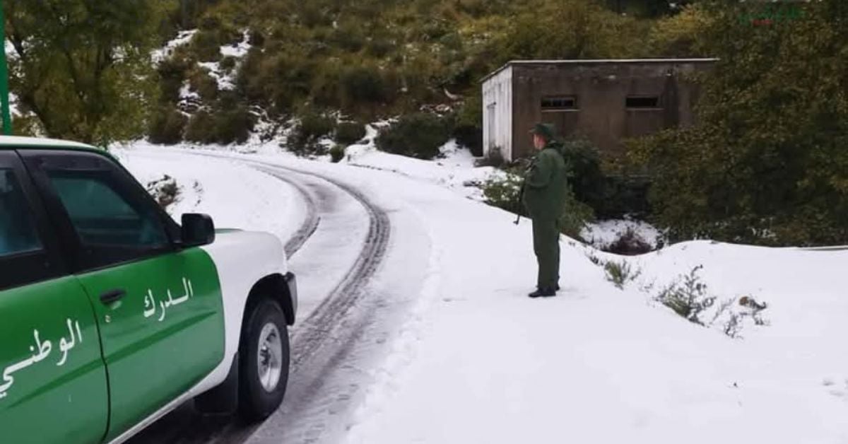 Neige en Algérie : découvrez quelles routes sont fermées