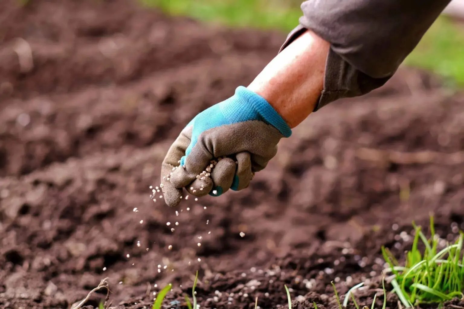 L'Espagne s'approvisionne de plus en plus en fertilisants algériens