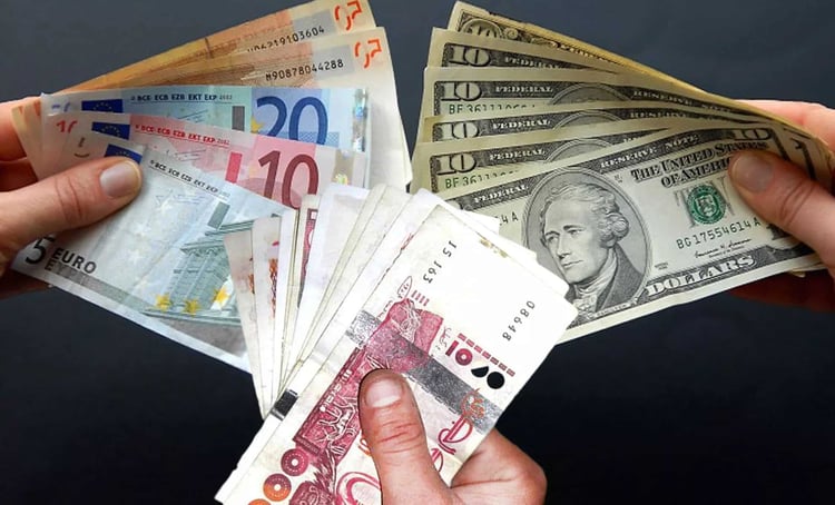 Pourquoi l’euro chute sur le marché noir des devises ?