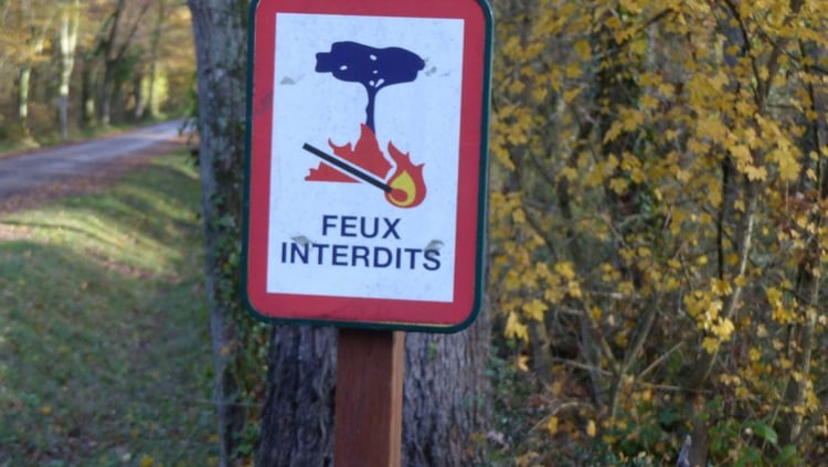 Accès aux forêts interdit cet été en Algérie : les raisons