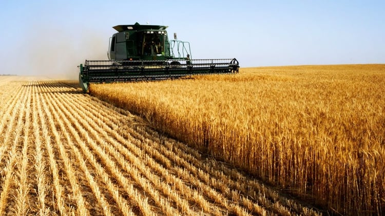 Comment l’Algérie utilise la science pour nourrir son futur