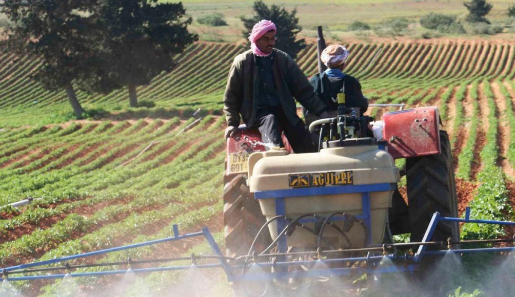 L'Algérie dévoile un projet clé pour son autonomie alimentaire