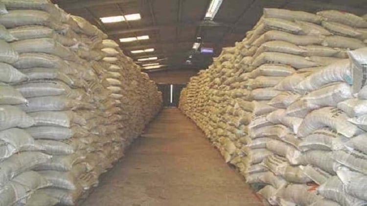 Les rebuts de dattes, solution innovante en Algérie