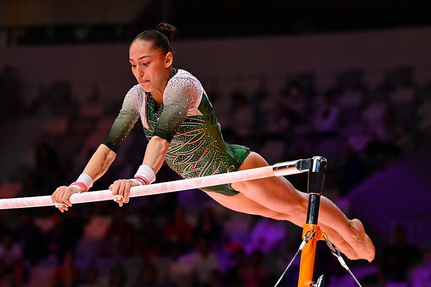 Découverte : le Nemour 2, validé par la FIG, triomphe !