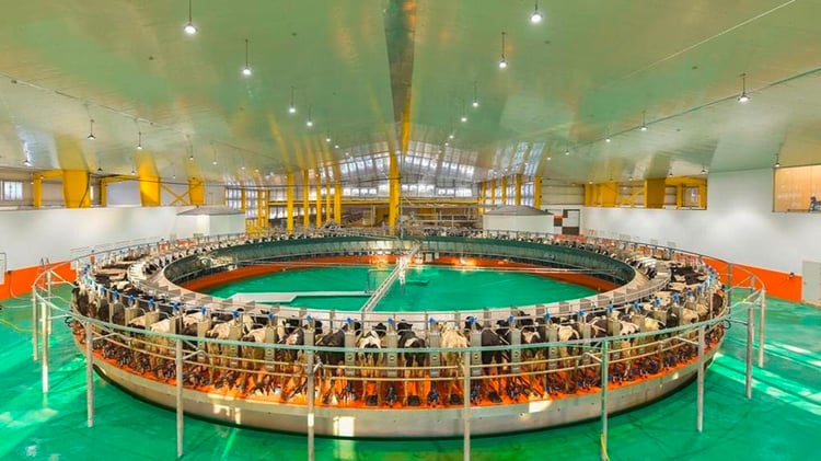 Projet Baladna : la mégaferme algérienne qui fascine l’Amérique