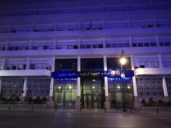 Algérie : 4 leviers surprenants pour relancer l’élevage