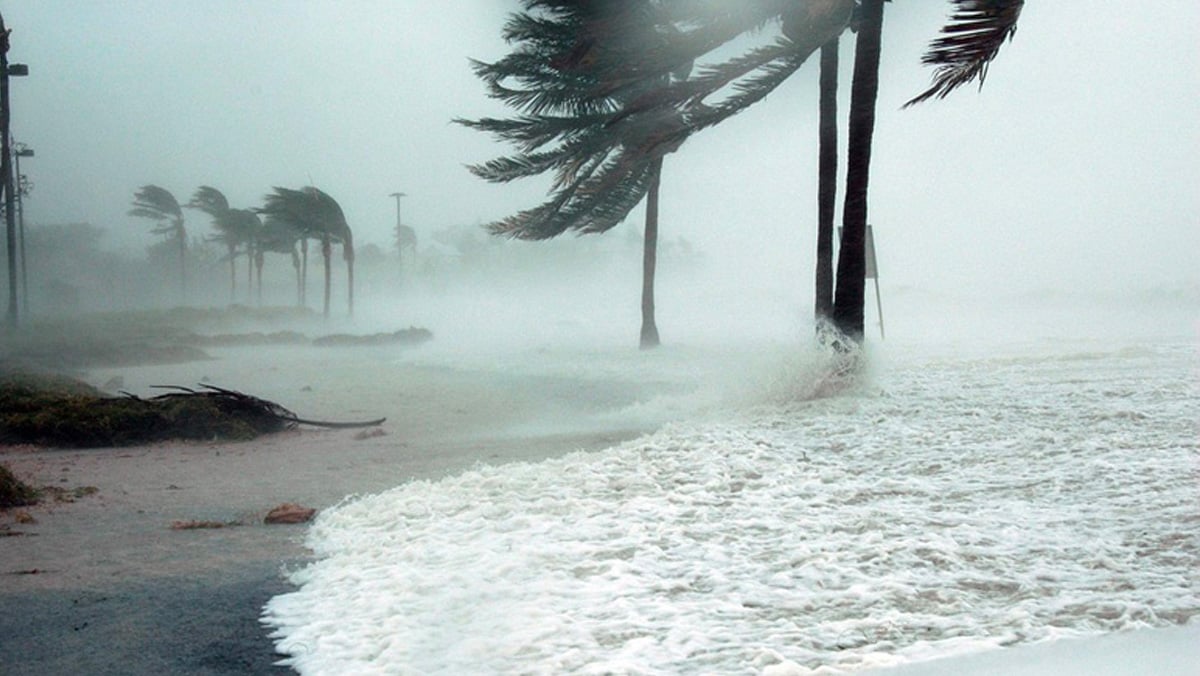 Comment El Niño 2026 changera le climat en Algérie ?