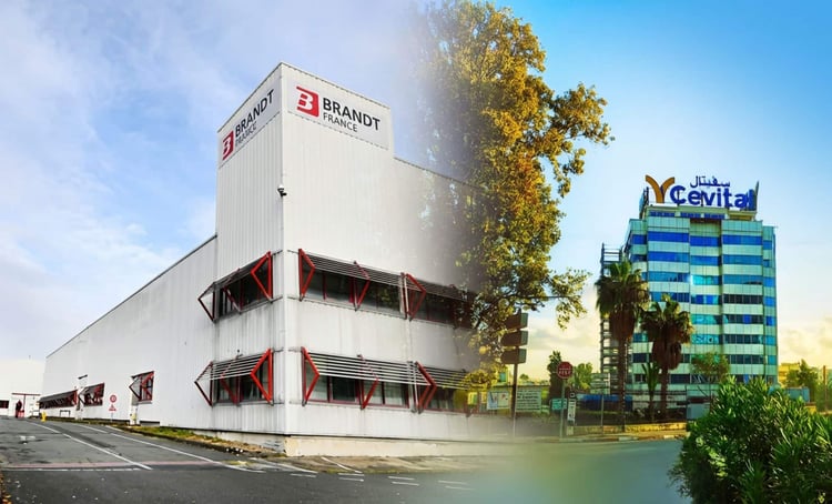 Brandt liquidé en France : pourquoi Cevital est épargné