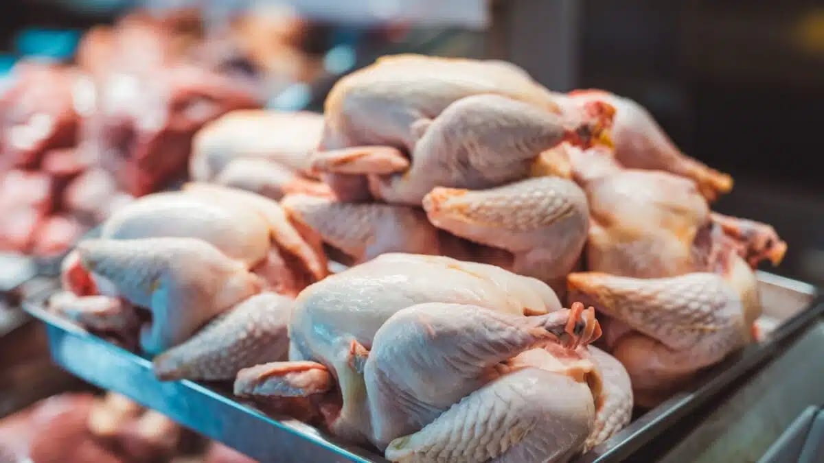 Œufs en Algérie : les vraies raisons de la flambée des prix