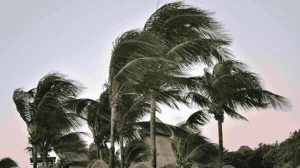 Météo Algérie ce vendredi : tempêtes, vents extrêmes et chaleur, l’alerte se renforce dans plusieurs wilayas 