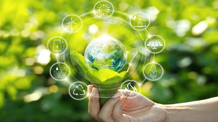 ANGEM: Un programme 1000 Micro-Entreprises de Recyclage