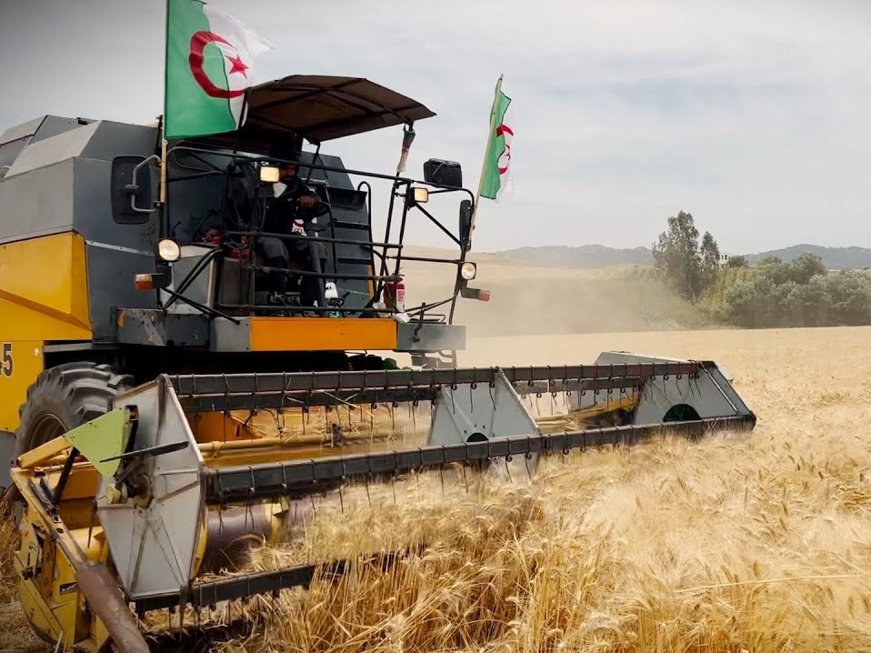 Comment l’Algérie utilise la science pour nourrir son futur