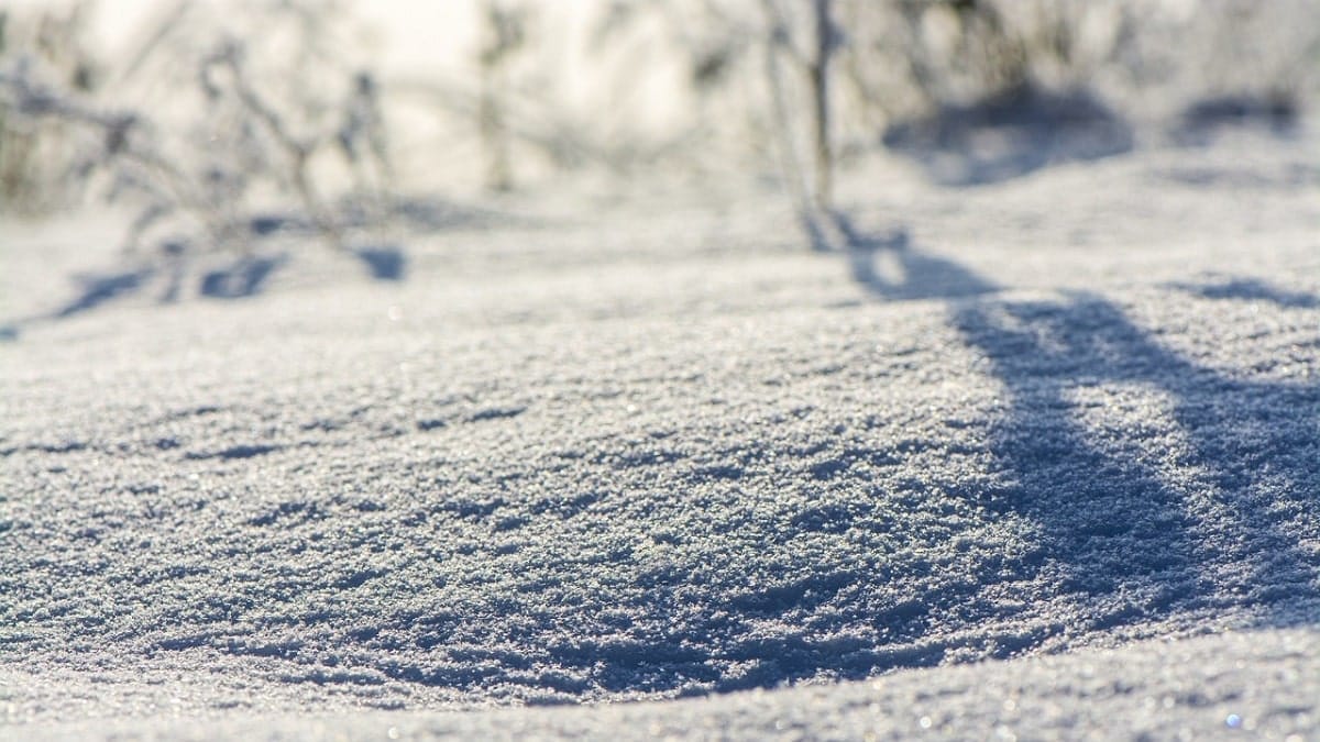 Neige en Algérie : découvrez où les premiers flocons sont tombés
