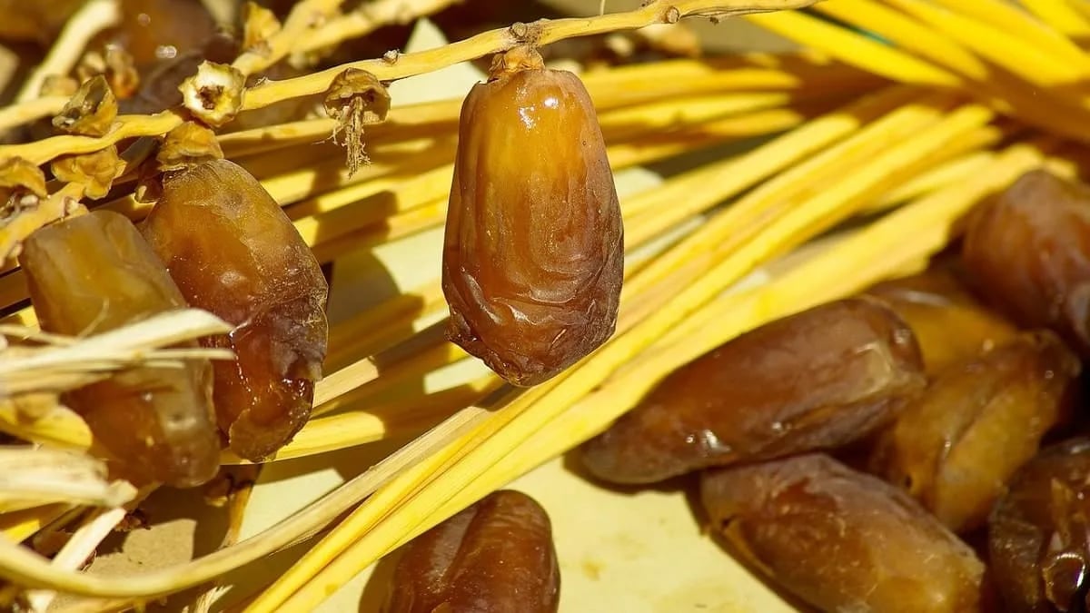 Dattes Algériennes : le Maroc accuse à son tour l'Algérie