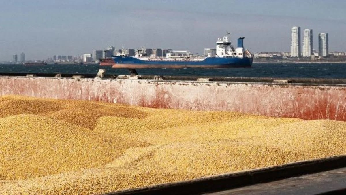 Importation de blé tendre : nouveau défi pour l'Algérie
