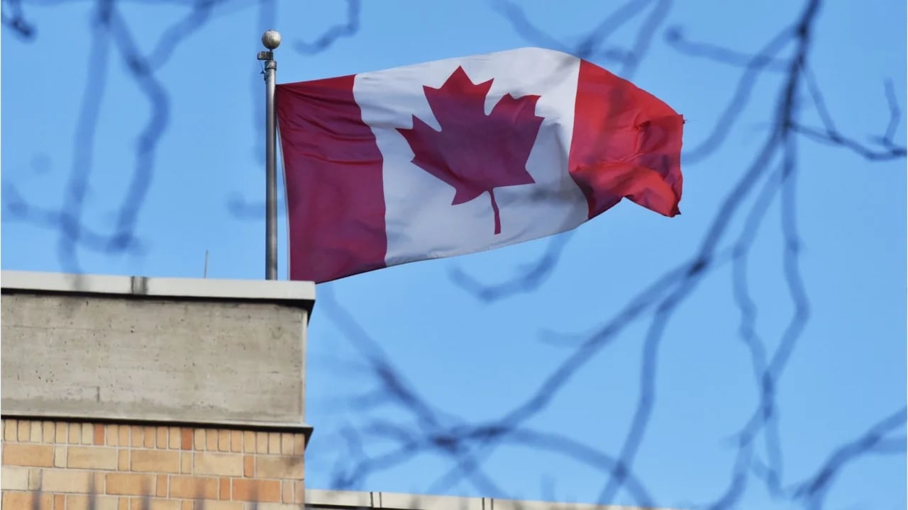 Algérie : parmi les ressortissants top naturalisés au Canada en 2025