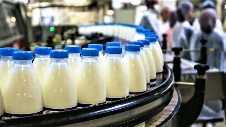 Découvrez pourquoi l'Algérie investit massivement dans le lait uruguayen !