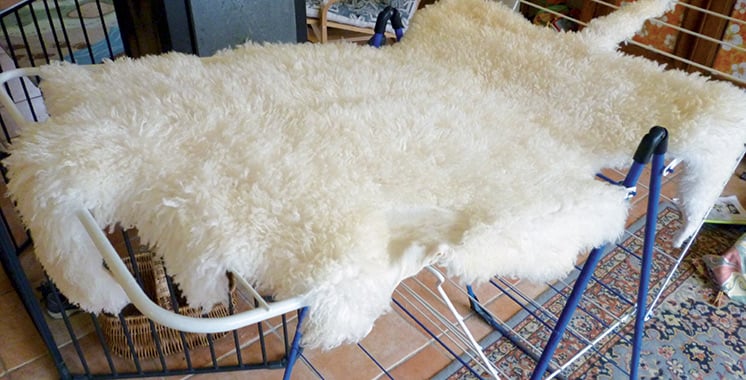 Ces peaux de mouton valent plus que vous pensez