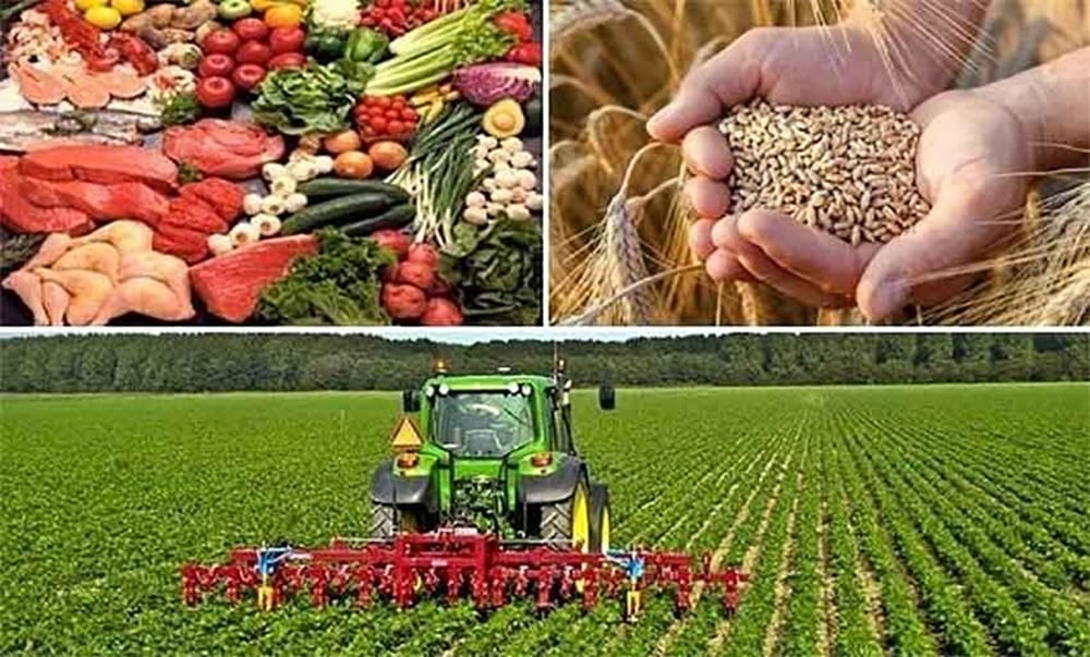 Création de milliers d’entreprises agricoles