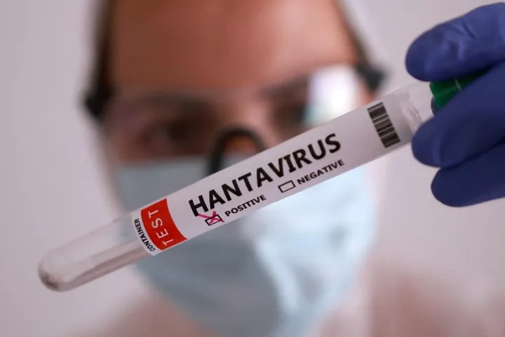 Algérie : ce que prévoit le plan contre l'hantavirus