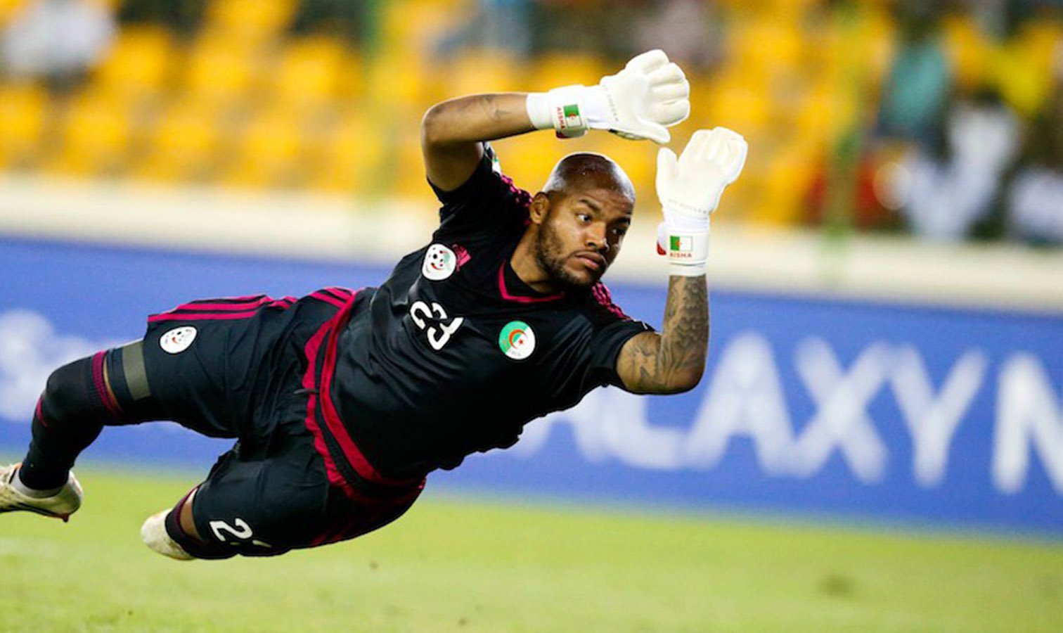Rais M'Bolhi en lice pour le meilleur gardien arabe du 20e siècle