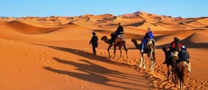 Découvrez le nombre de touristes au Sahara algérien en 2025