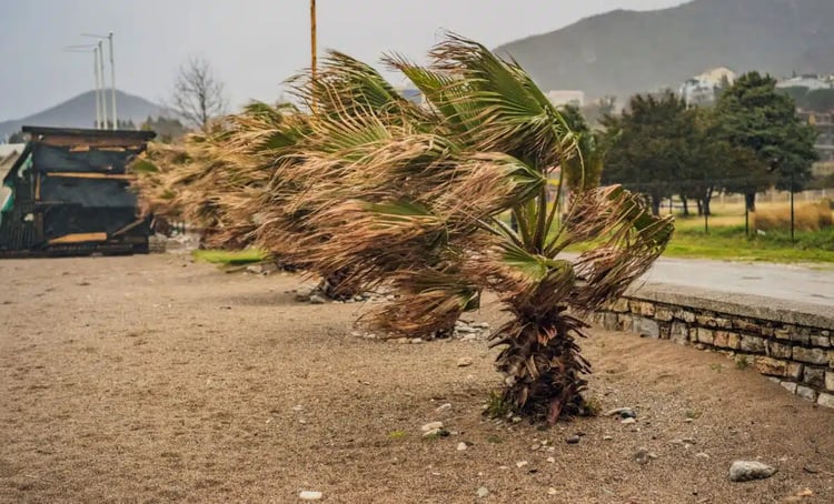 Vent de tempête en Algérie : des rafales à 100 km/h à prévoir !
