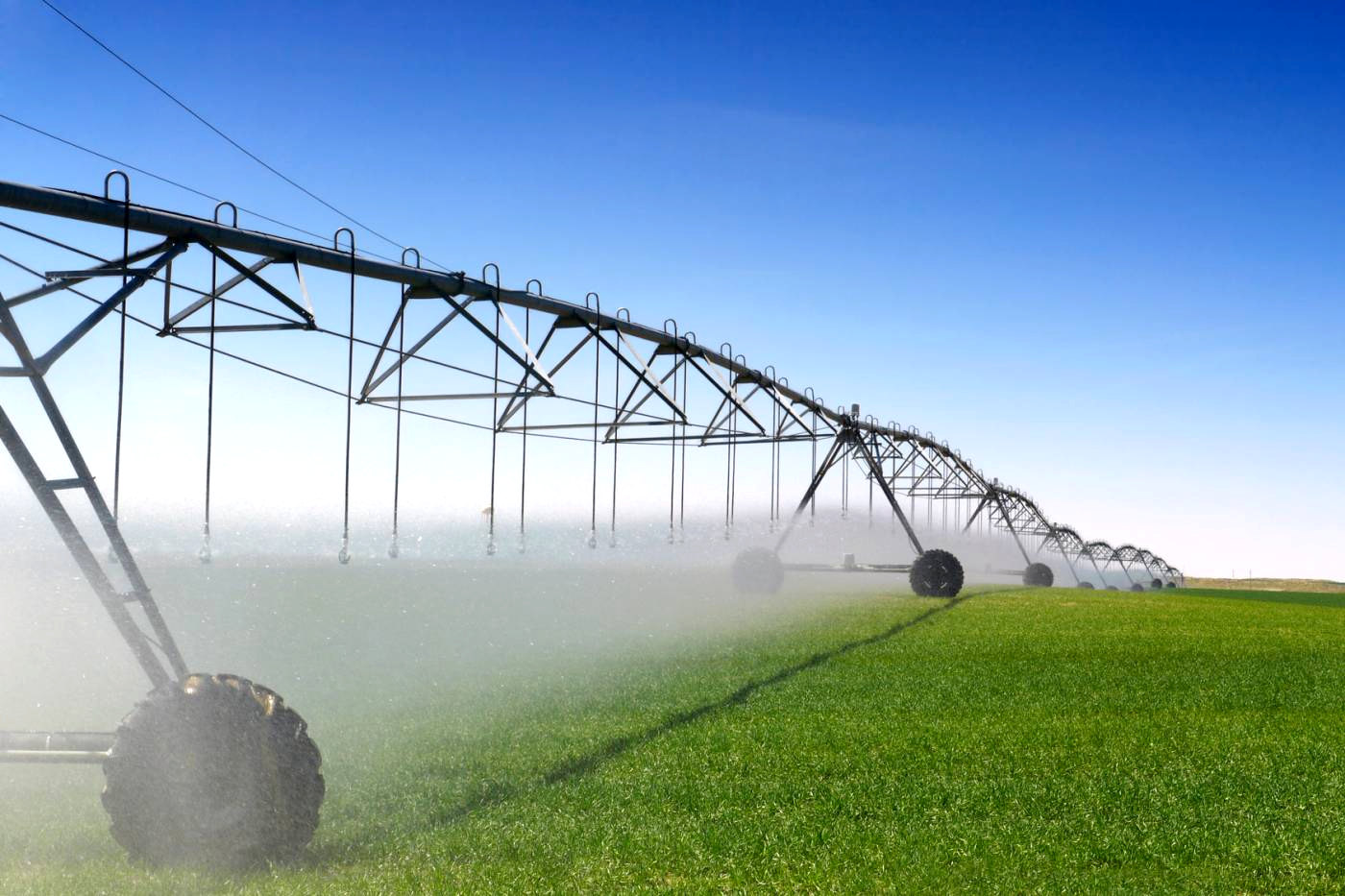  Aïn Defla : pluies bienvenues, impact pour l'agriculture