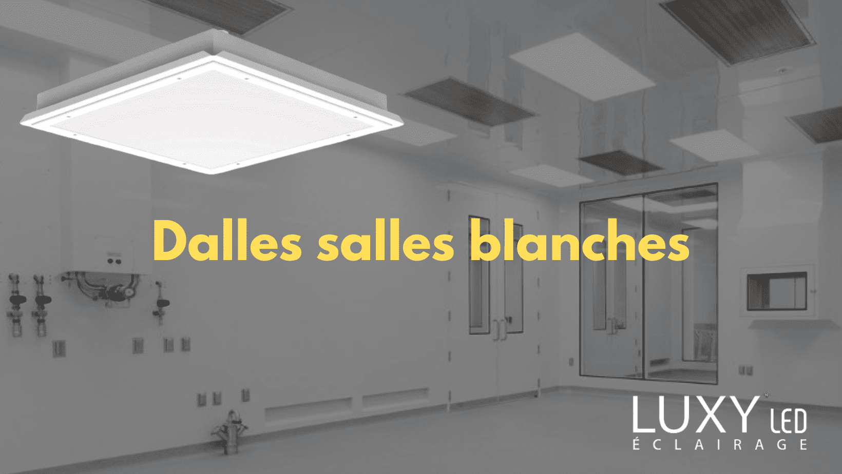 Comment un wali a sauvé une entreprise emblématique en Algérie ?