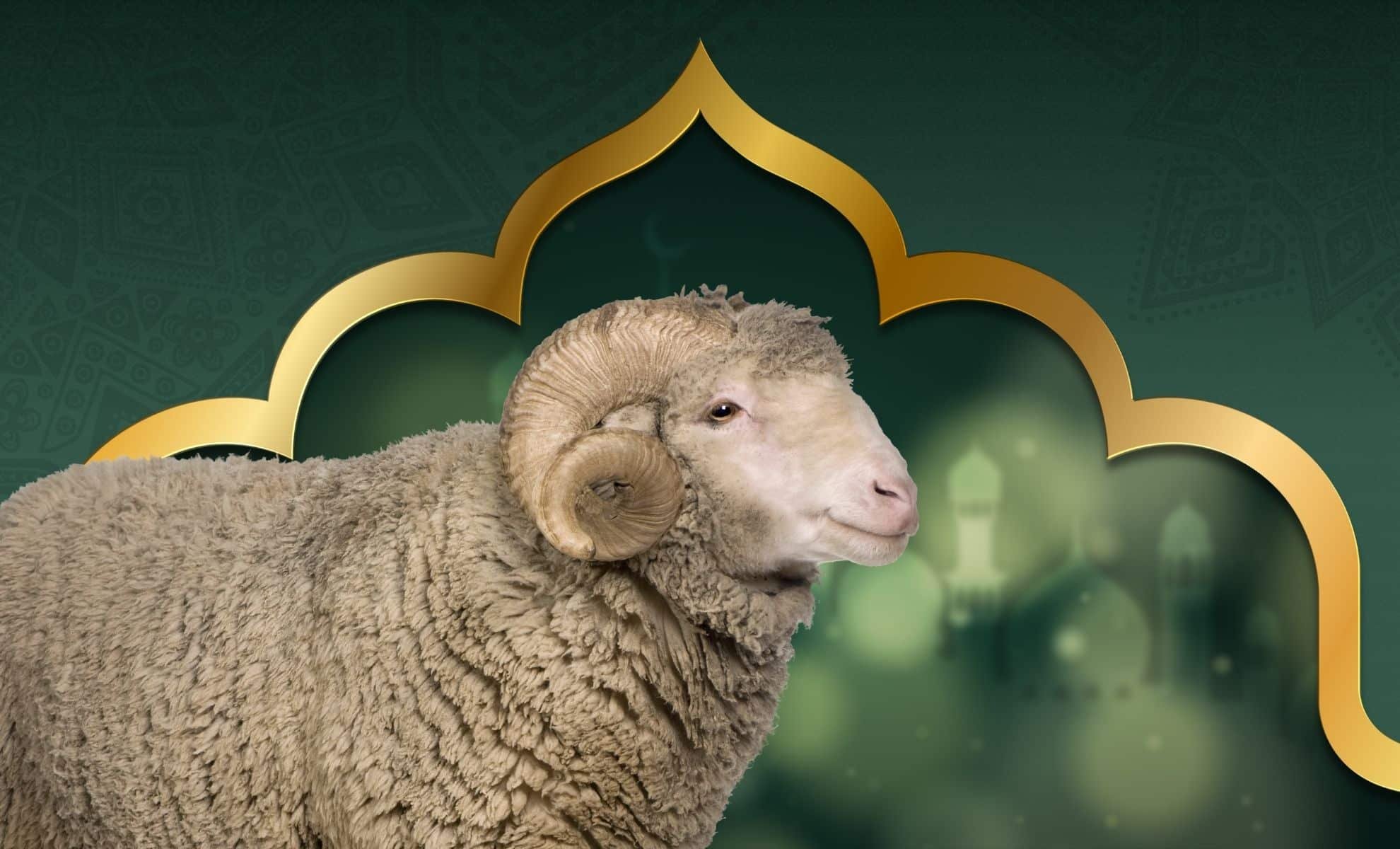 Aïd el-Adha : voici pourquoi on l'appelle fête du mouton