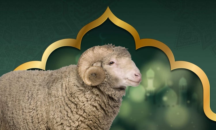 Aïd el-Adha : voici pourquoi on l'appelle fête du mouton