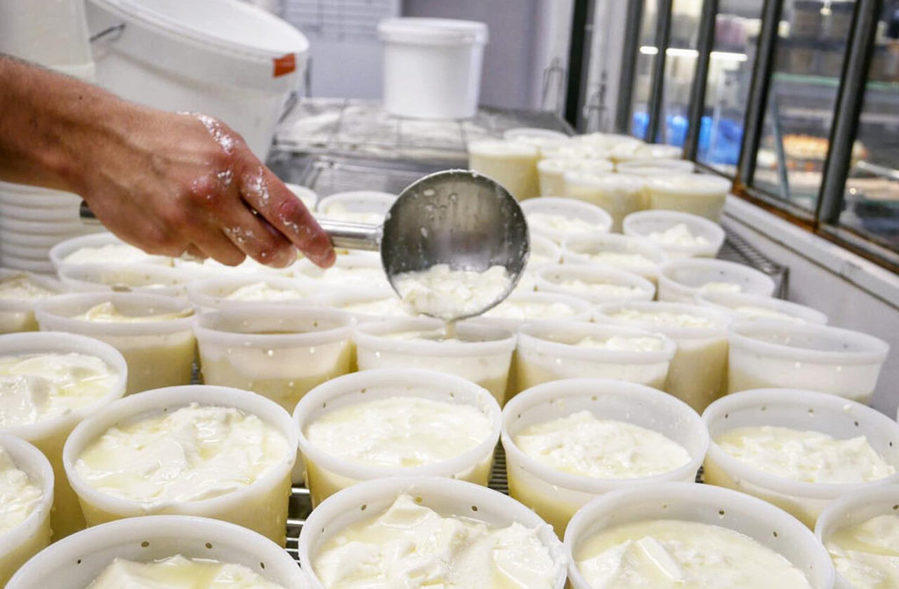 Un groupe algérien conquiert le marché américain : découvrez comment !