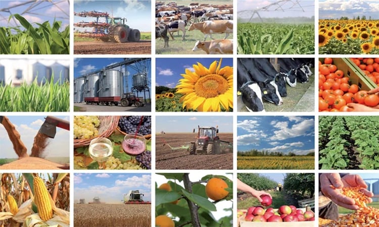 Algérie : 6 millions d’euros pour la vie quotidienne