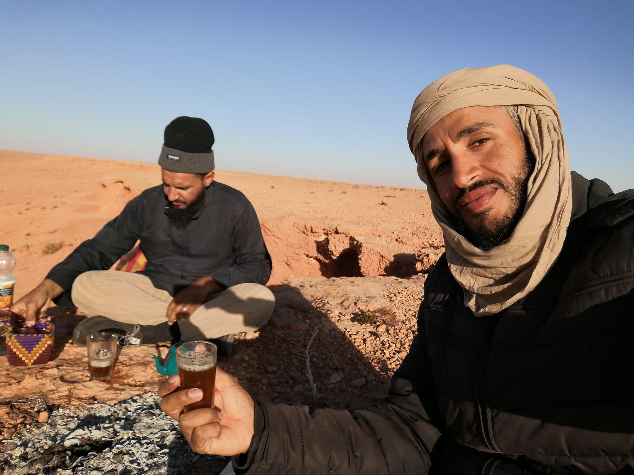 Algérie: À la découverte du guépard du désert 