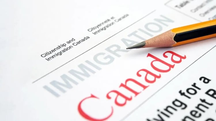 Immigration francophone : le Canada revoit ses objectifs 2026