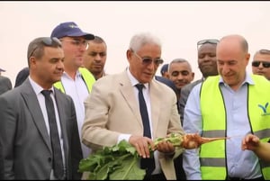 Cevital : Un projet colossal de 600 M$ s'installe au sud algérien