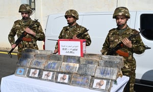 Découverte choc : L'armée algérienne saisit une tonne de drogue
