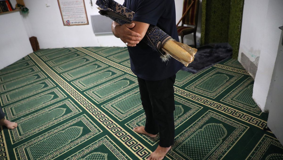 Mystérieuses têtes de cochon devant des mosquées en France