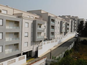 Alger : les mystères d'un projet immobilier fascinant