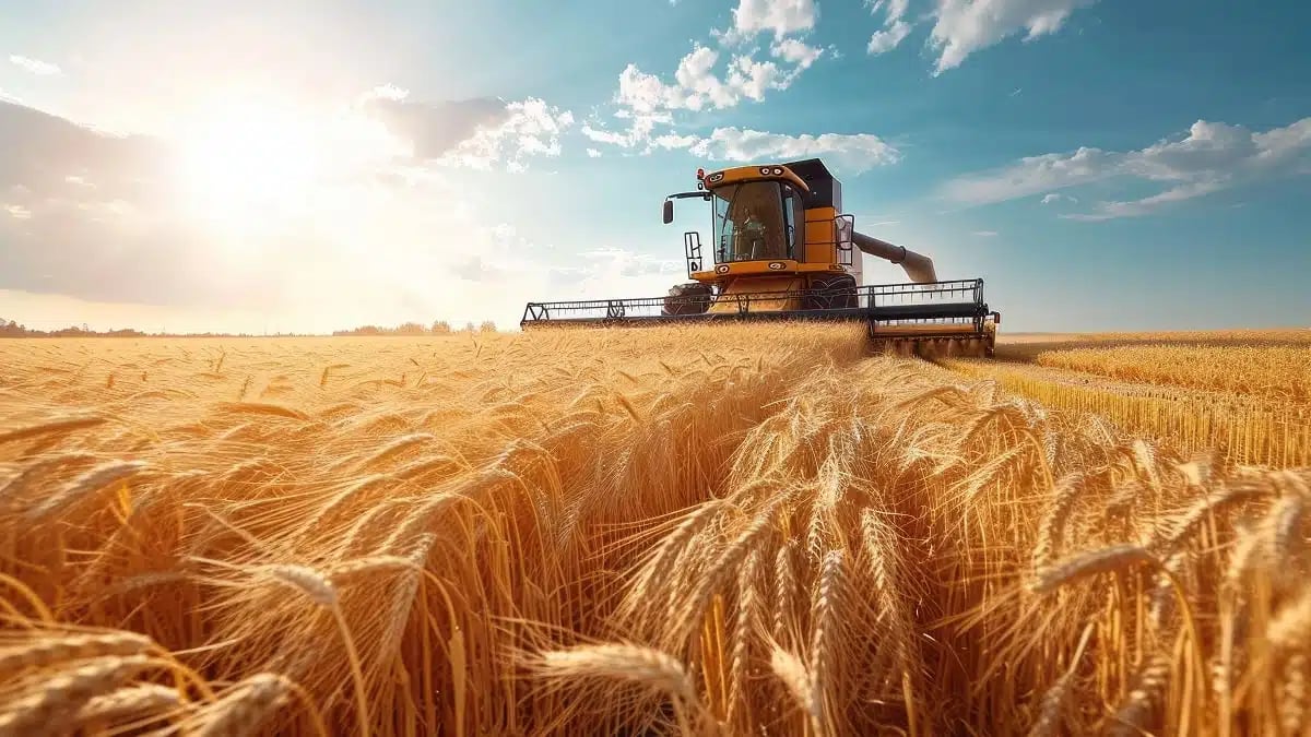 Pourquoi les exportations agro françaises chutent en Algérie