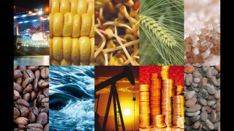 L’Algérie mise sur l’Afrique pour ses matières premières