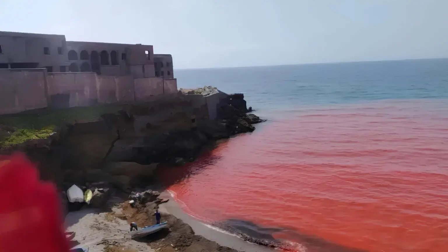 Aïn Benian : la mer vire au rouge, une enquête ouverte à Alger