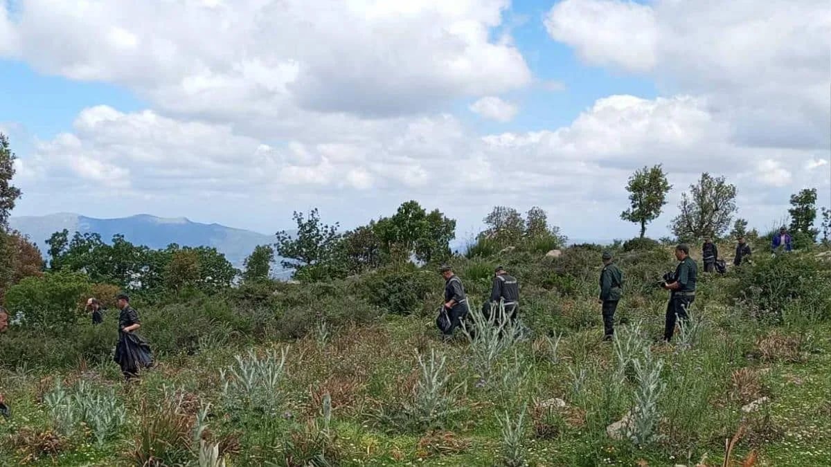 Forêts interdites en Algérie : les contrevenants risquent gros