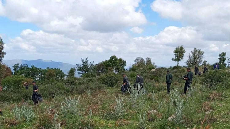 Forêts interdites en Algérie : les contrevenants risquent gros