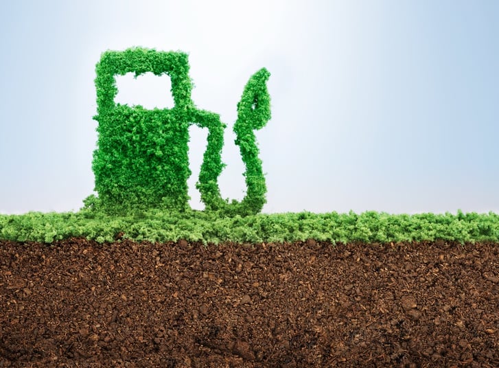 Carburants verts : les nouveaux projets algériens au Japon