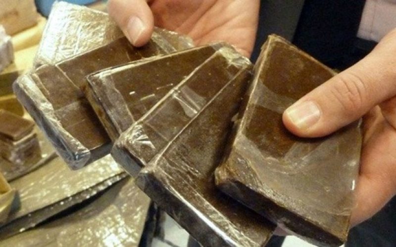 Choc en Algérie : 35 tonnes de drogue saisies en 2025